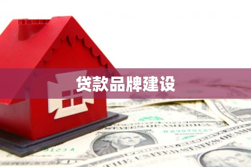 甲仙贷款品牌建设