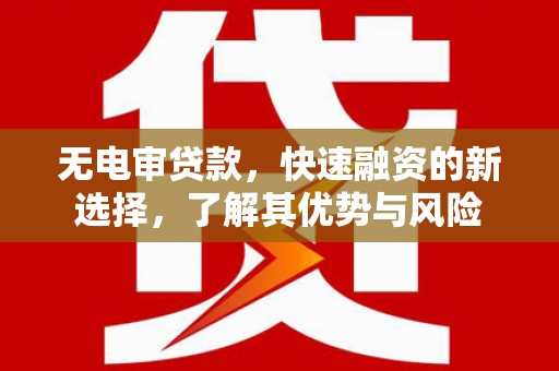 甲仙无电审贷款，快速融资的新选择，了解其优势与风险