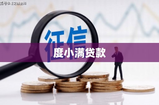 甲仙度小满贷款