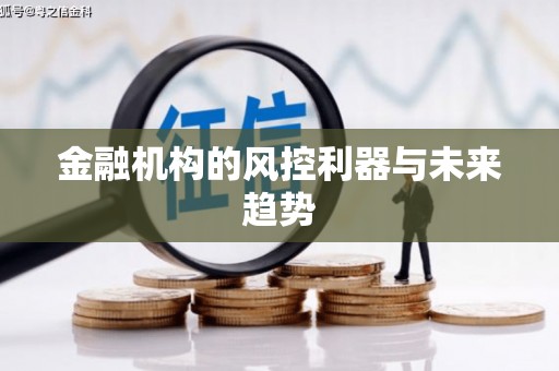 甲仙金融机构的风控利器与未来趋势