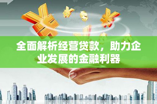甲仙全面解析经营贷款，助力企业发展的金融利器