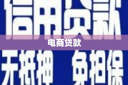 甲仙电商贷款