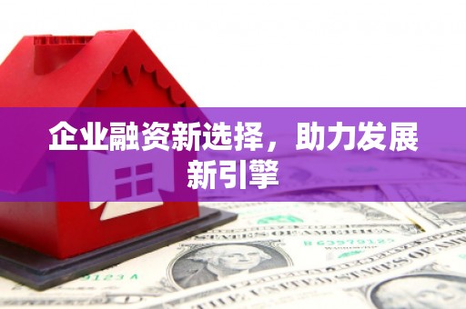 甲仙企业融资新选择，助力发展新引擎