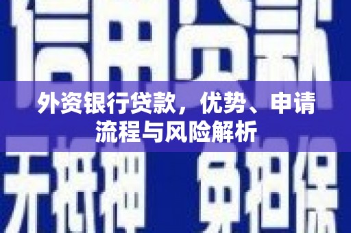 甲仙外资银行贷款，优势、申请流程与风险解析