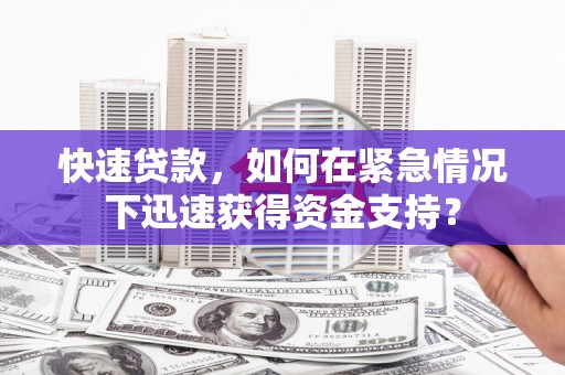 甲仙快速贷款，如何在紧急情况下迅速获得资金支持？