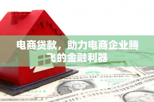 甲仙电商贷款，助力电商企业腾飞的金融利器