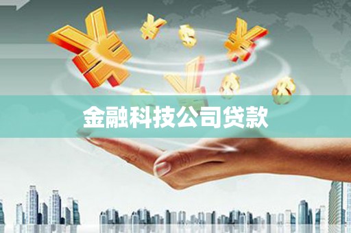甲仙金融科技公司贷款