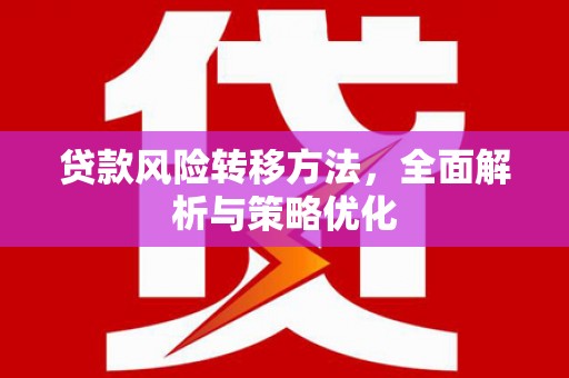 甲仙贷款风险转移方法，全面解析与策略优化