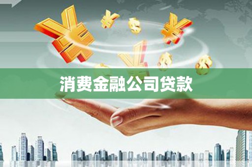 甲仙消费金融公司贷款