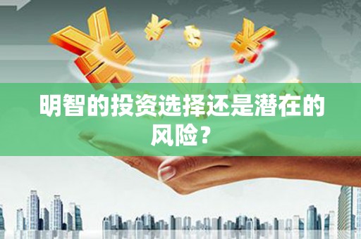 甲仙明智的投资选择还是潜在的风险？