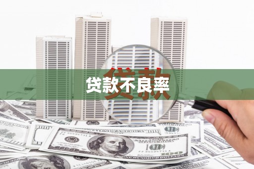 甲仙贷款不良率