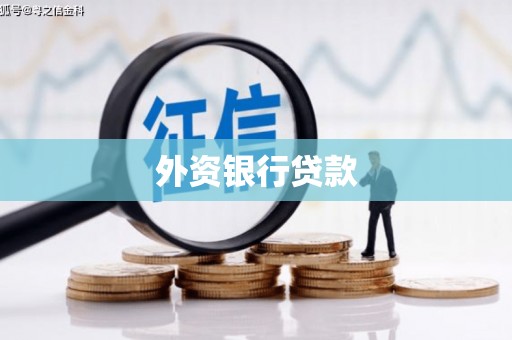 甲仙外资银行贷款