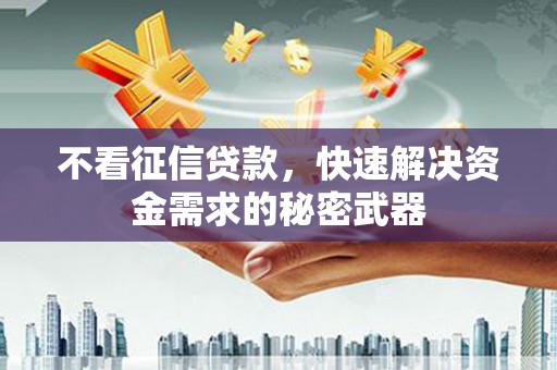 甲仙不看征信贷款，快速解决资金需求的秘密武器