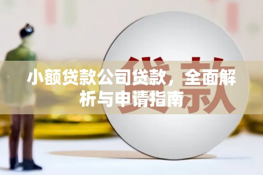 甲仙小额贷款公司贷款，全面解析与申请指南