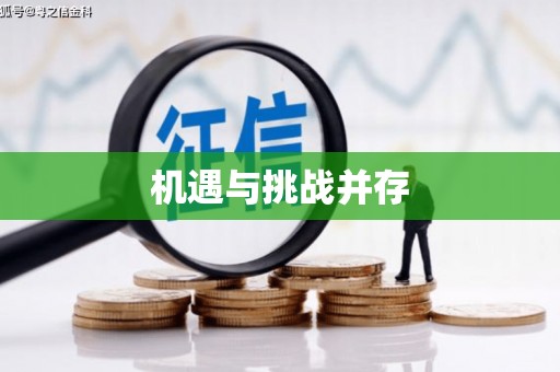 甲仙机遇与挑战并存