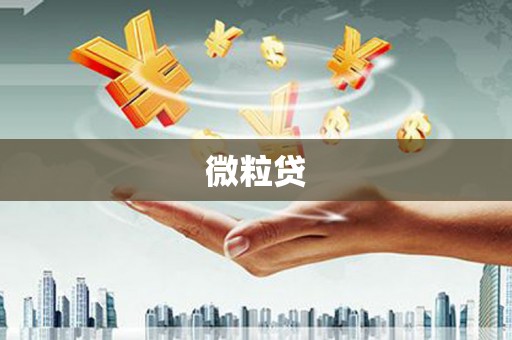 甲仙微粒贷