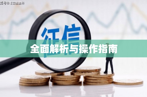 甲仙全面解析与操作指南