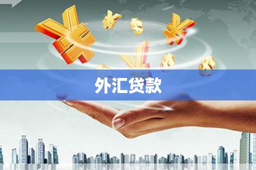 甲仙外汇贷款