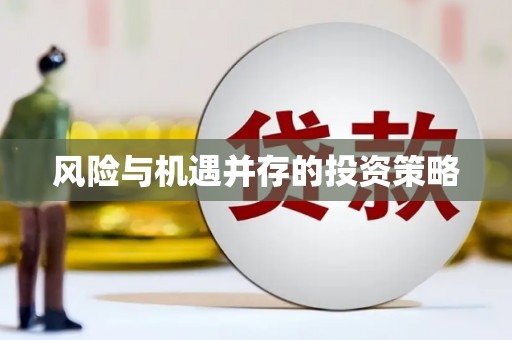甲仙风险与机遇并存的投资策略