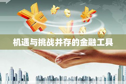甲仙机遇与挑战并存的金融工具