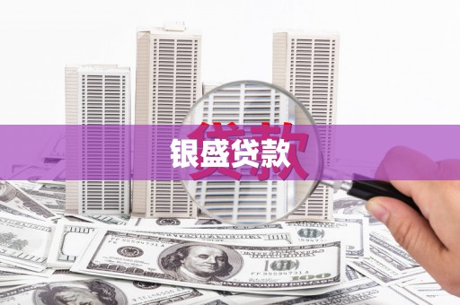 甲仙银盛贷款
