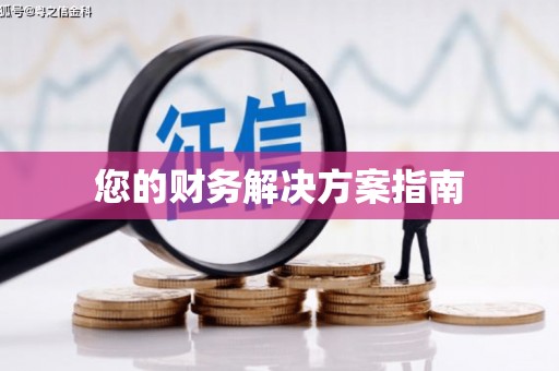 甲仙您的财务解决方案指南