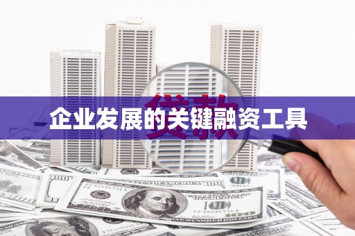 甲仙企业发展的关键融资工具