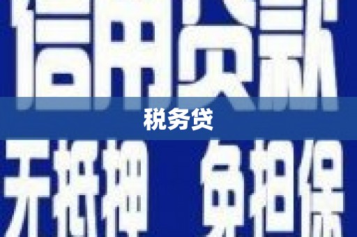 甲仙税务贷