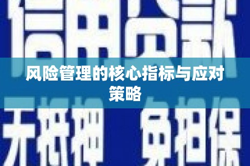甲仙风险管理的核心指标与应对策略