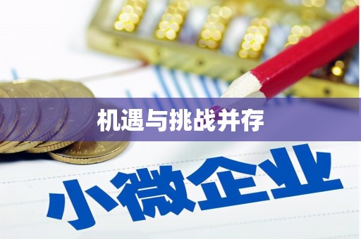 甲仙机遇与挑战并存