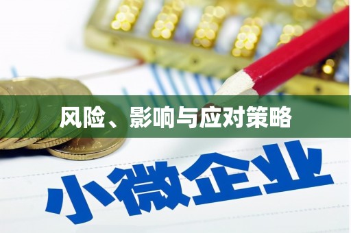 甲仙风险、影响与应对策略