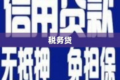 甲仙税务贷