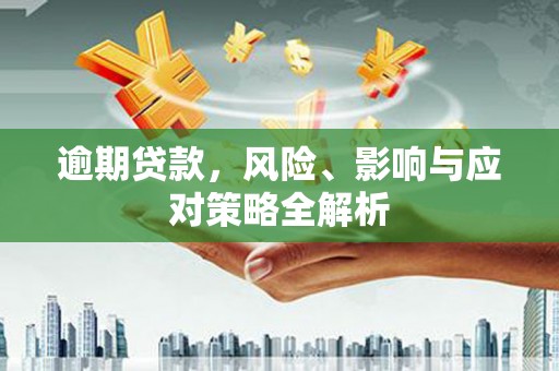 甲仙逾期贷款，风险、影响与应对策略全解析