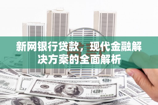 甲仙新网银行贷款，现代金融解决方案的全面解析