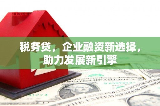 甲仙税务贷，企业融资新选择，助力发展新引擎