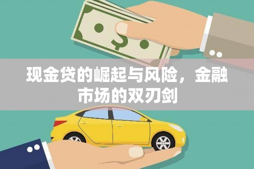甲仙现金贷的崛起与风险，金融市场的双刃剑