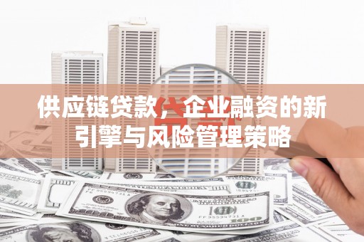 甲仙供应链贷款，企业融资的新引擎与风险管理策略