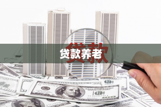 甲仙贷款养老