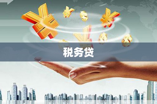 甲仙税务贷