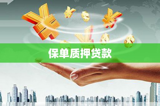 甲仙保单质押贷款