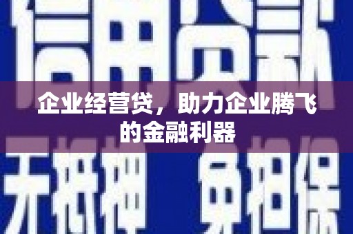 甲仙企业经营贷，助力企业腾飞的金融利器