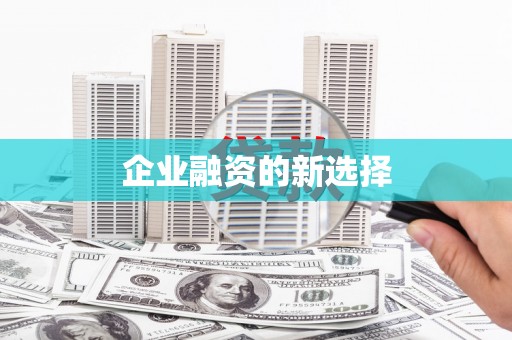 甲仙企业融资的新选择