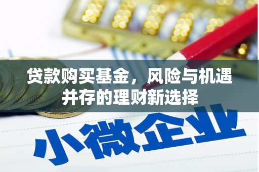 甲仙贷款购买基金，风险与机遇并存的理财新选择