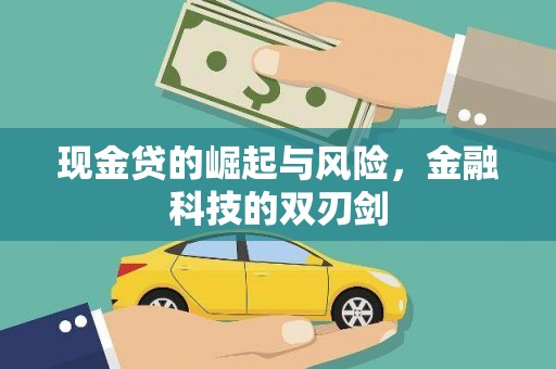 甲仙现金贷的崛起与风险，金融科技的双刃剑