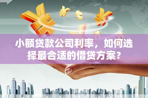 甲仙小额贷款公司利率，如何选择最合适的借贷方案？