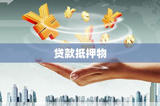 甲仙贷款抵押物