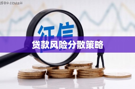 甲仙贷款风险分散策略