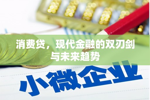 甲仙消费贷，现代金融的双刃剑与未来趋势