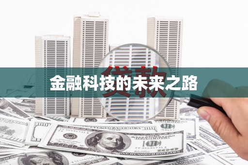 甲仙金融科技的未来之路