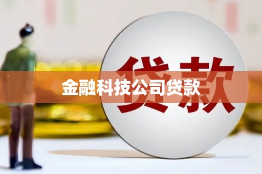 甲仙金融科技公司贷款